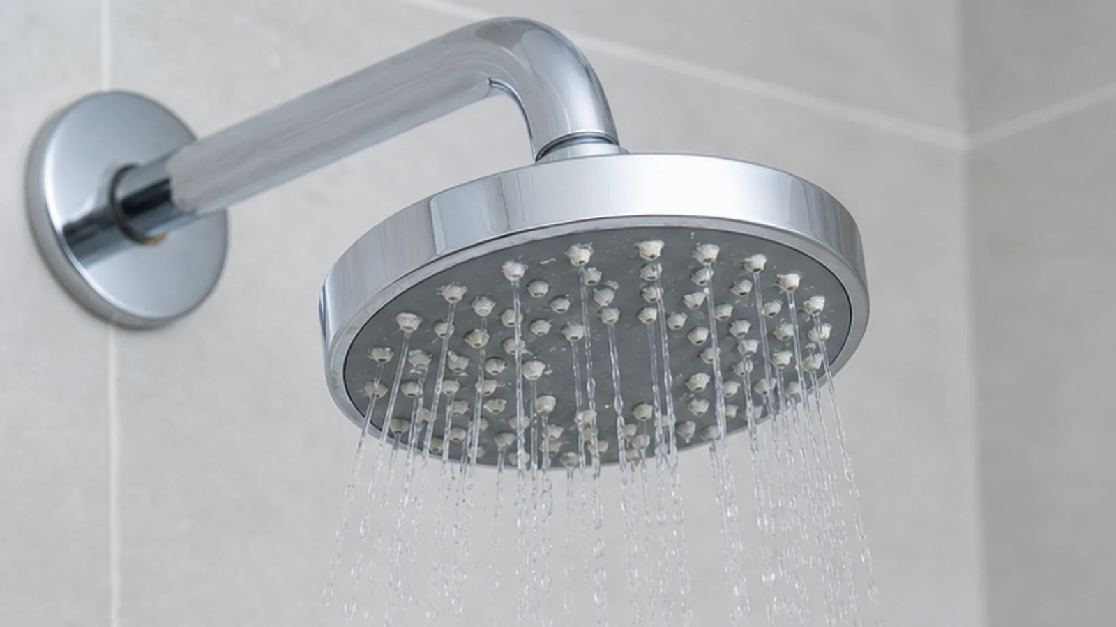 A chrome shower head with visible mineral scale and an uneven spray pattern in a naturally lit bathroom.